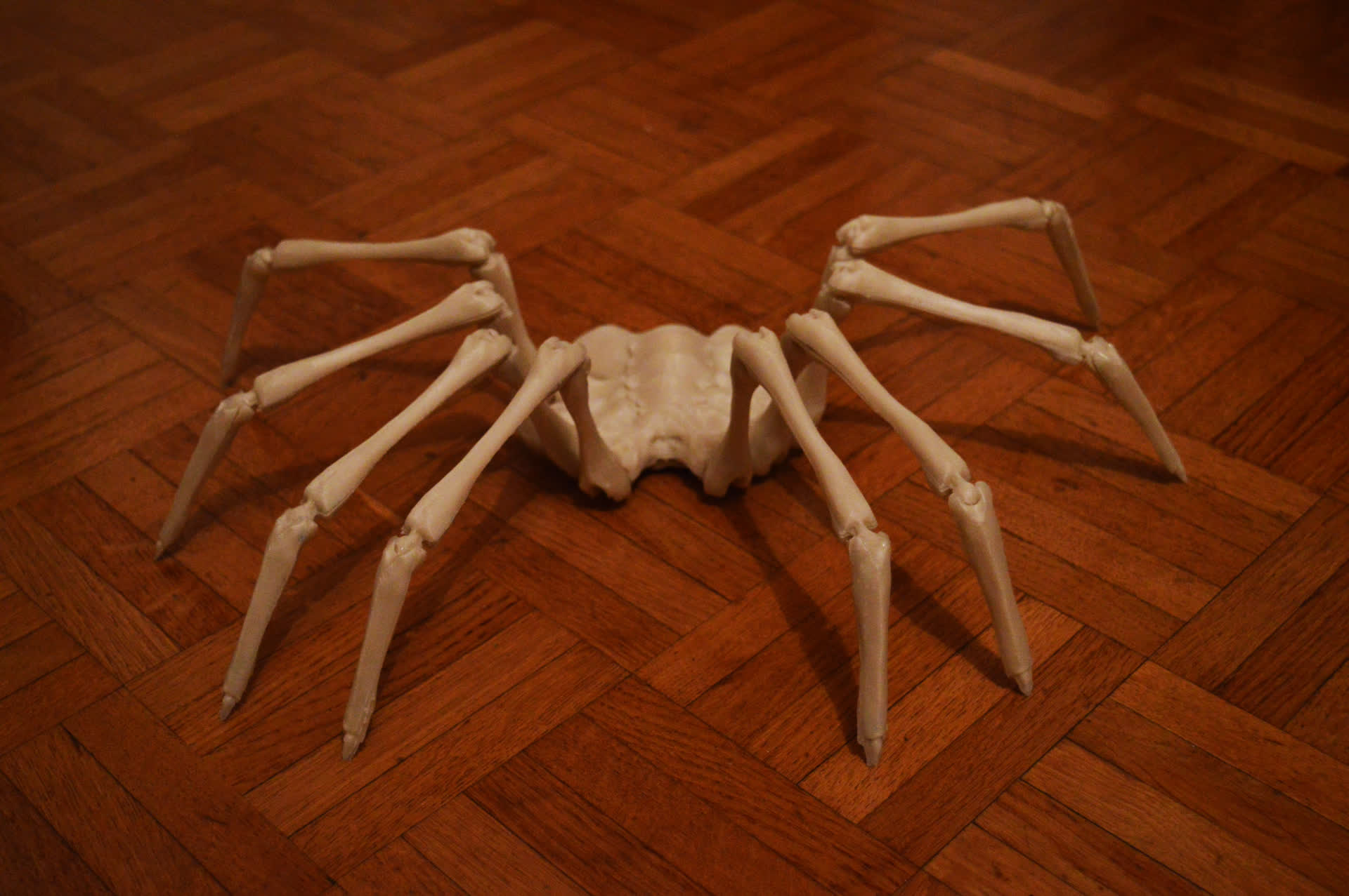 Arachnae — œuvre d'Alexandre Amiel