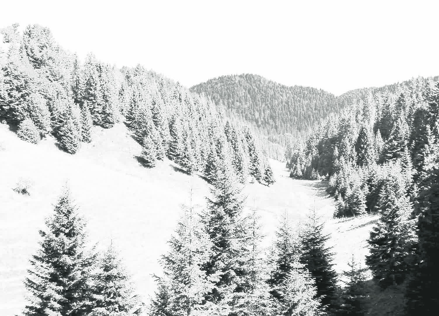 Paysage — œuvre d'Alexandre Amiel