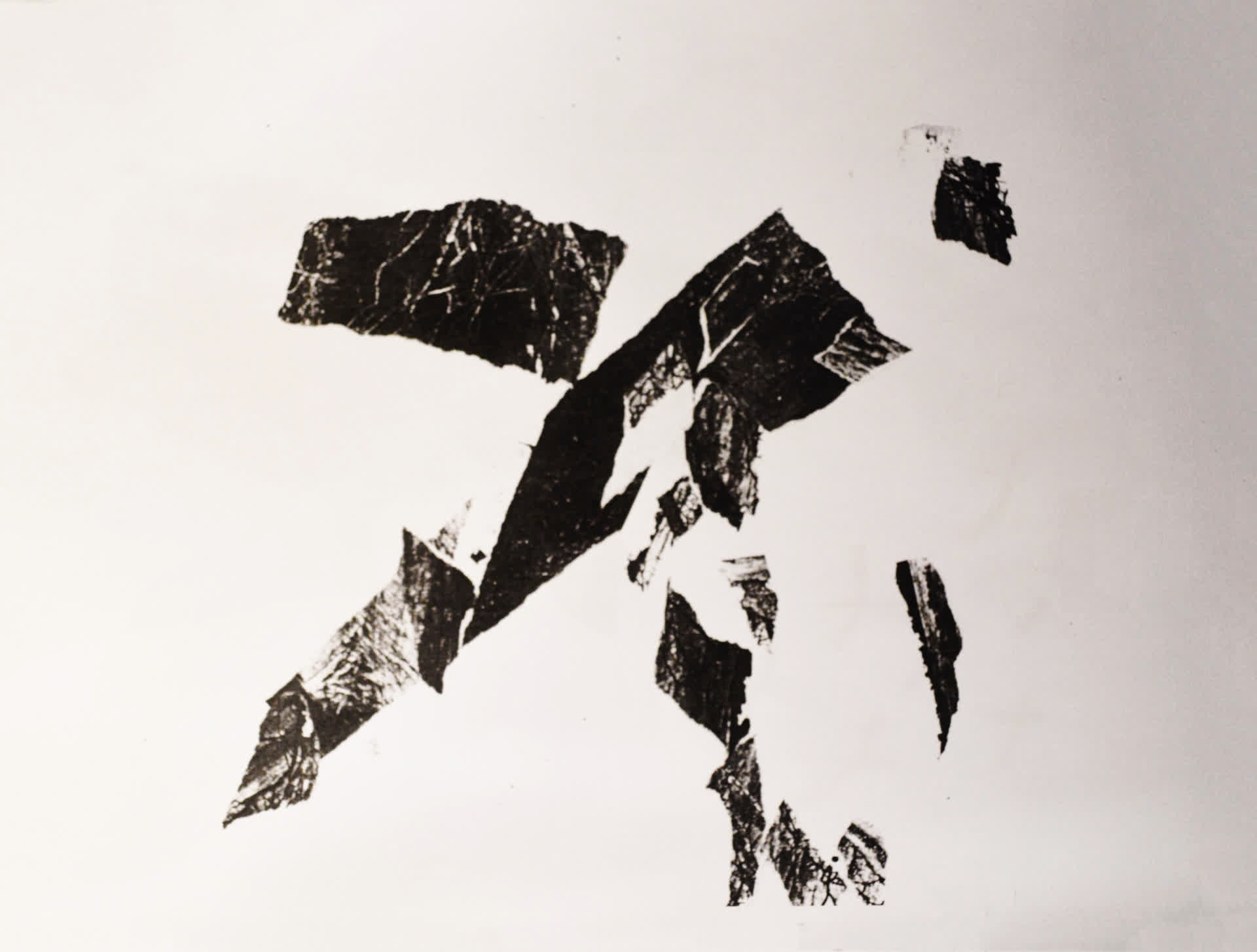 Rapace — œuvre d'Alexandre Amiel